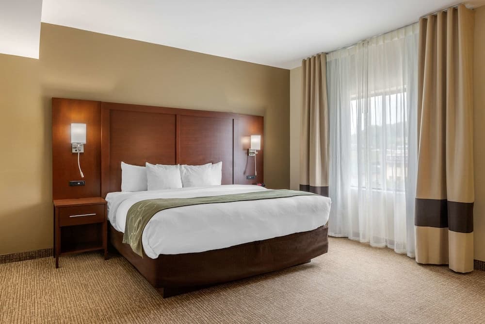 Comfort Suites Johnson City near University property views in Johnson City, TN — gallery photo 3