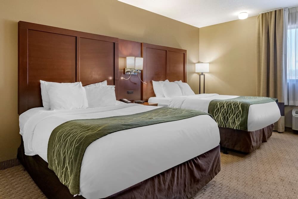 Comfort Inn Warren - Detroit North gallery photo in Warren, MI — image 4