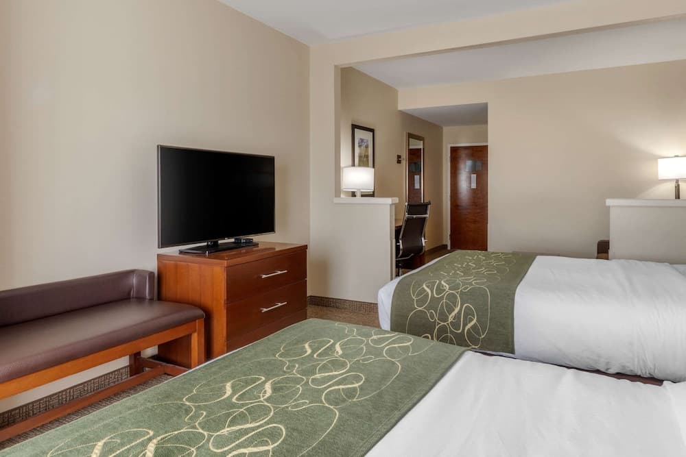 Comfort Suites Johnson City near University gallery photo in Johnson City, TN — image 25