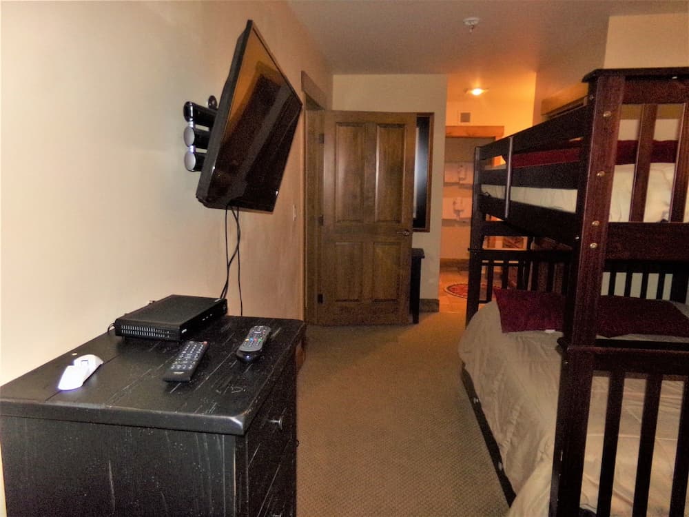Springs 2 Bed 3 Bath Murphy property views in Keystone, CO — gallery photo 3