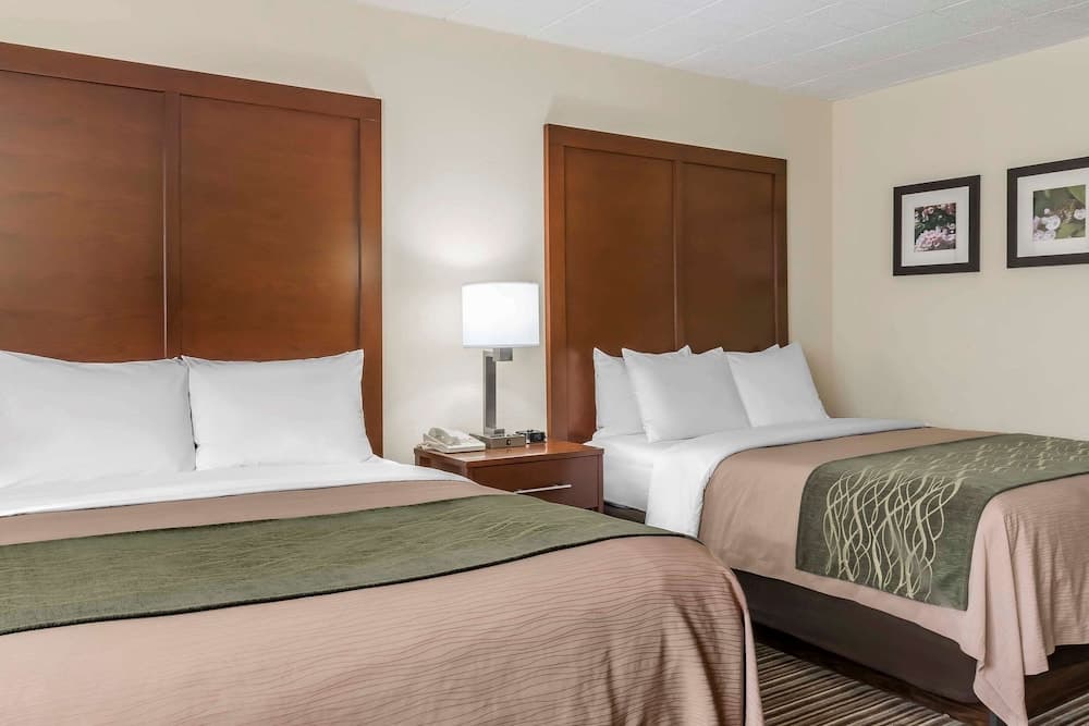 Comfort Inn - Pocono Mountains gallery photo in White Haven, PA — image 15