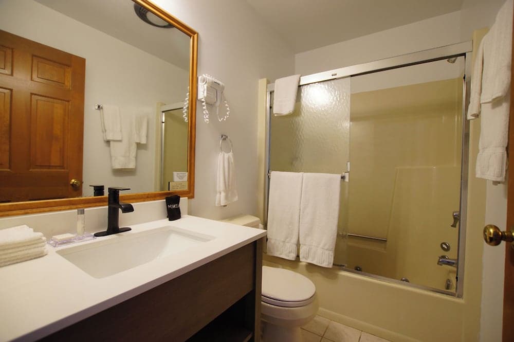 Snyder's Shoreline Inn gallery photo in Ludington, MI — image 58