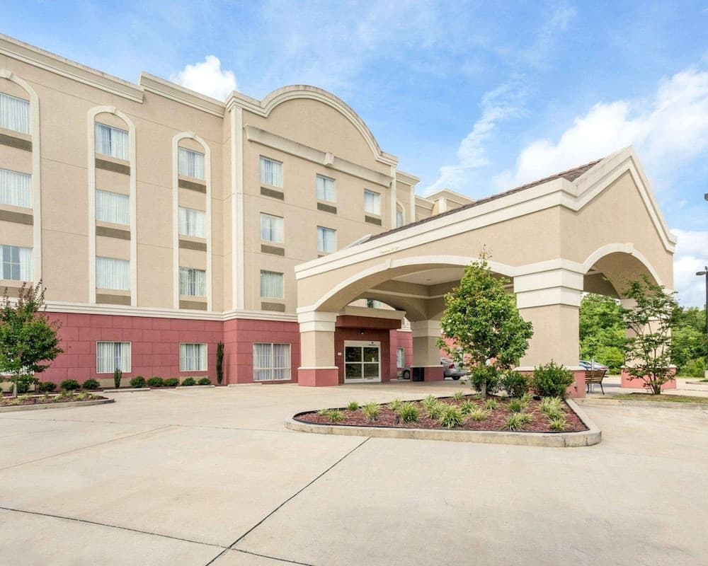 Comfort Suites Mandeville - Covington gallery photo in Mandeville, LA — image 27
