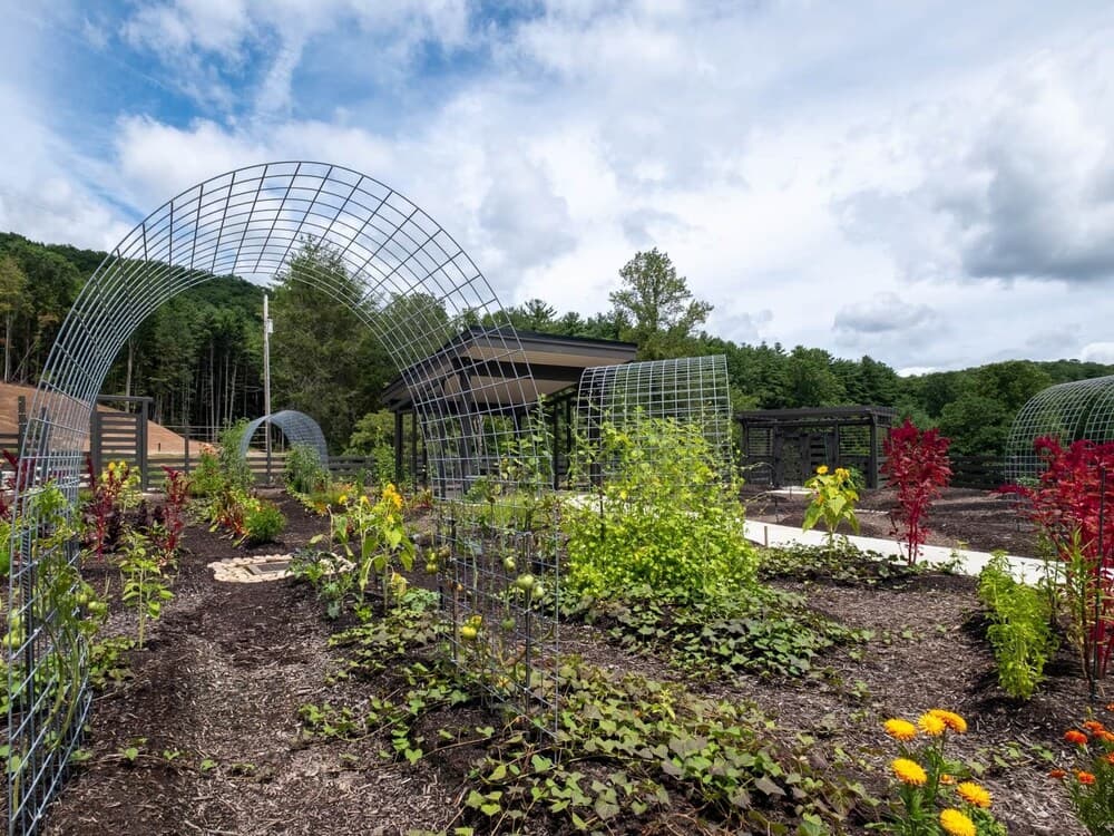 Lazy Bear interior in Balsam Grove — gallery photo 2
