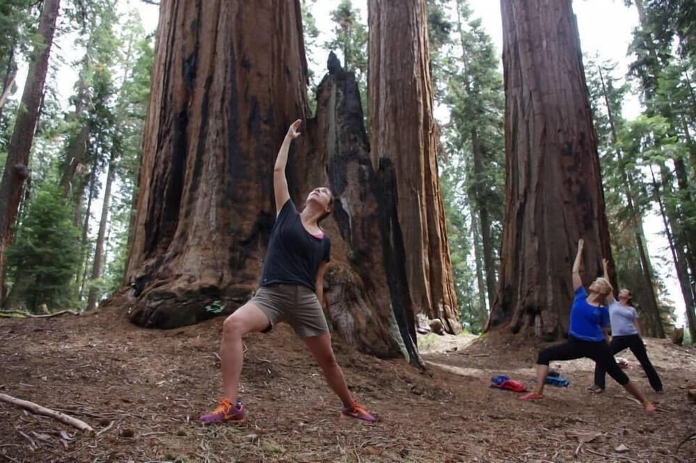 Montecito Sequoia Lodge gallery photo in Kings Canyon National Park, CA — image 40