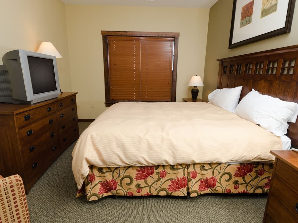 Soaring Eagle Lodge property views in Snowshoe — gallery photo 3