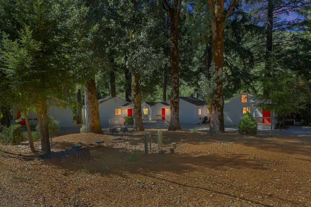 Rouge Cobb Mountain Hotel - Cabin 4 interior in Cobb, CA — gallery photo 2