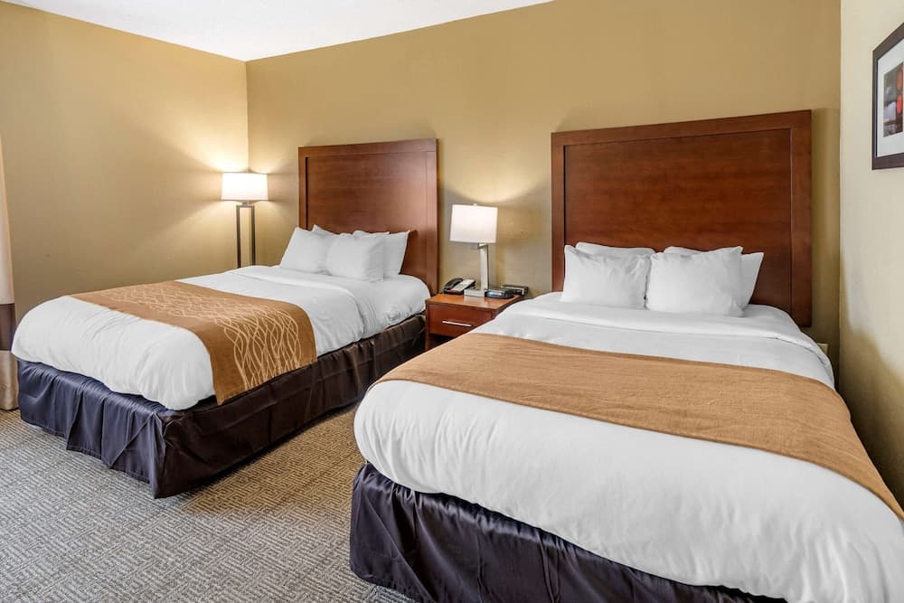 Comfort Inn & Suites Lincoln I-20 property views in Lincoln, AL — gallery photo 3