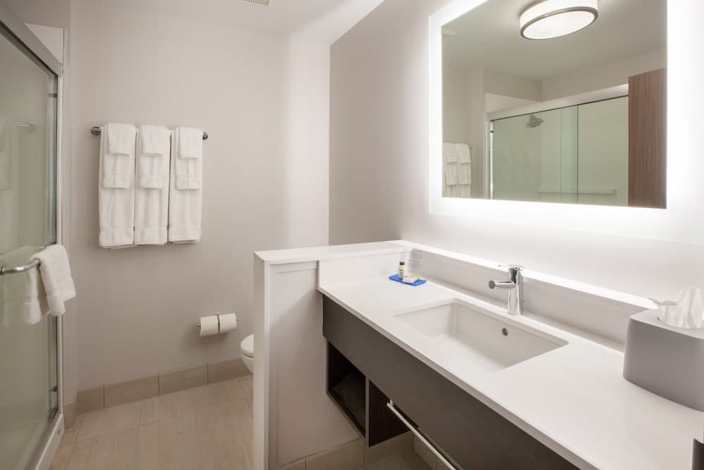 Holiday Inn Express & Suites Detroit Dearborn by IHG gallery photo in Dearborn, MI — image 57