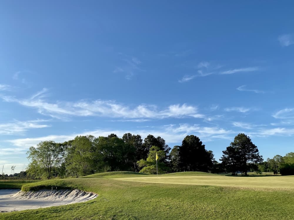 Blueberry Plantation Golf Resort property views in Alma, GA — gallery photo 3