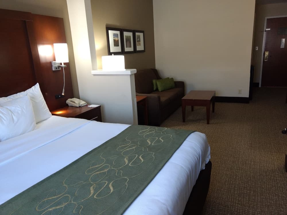 Comfort Suites Johnson City near University gallery photo in Johnson City, TN — image 30