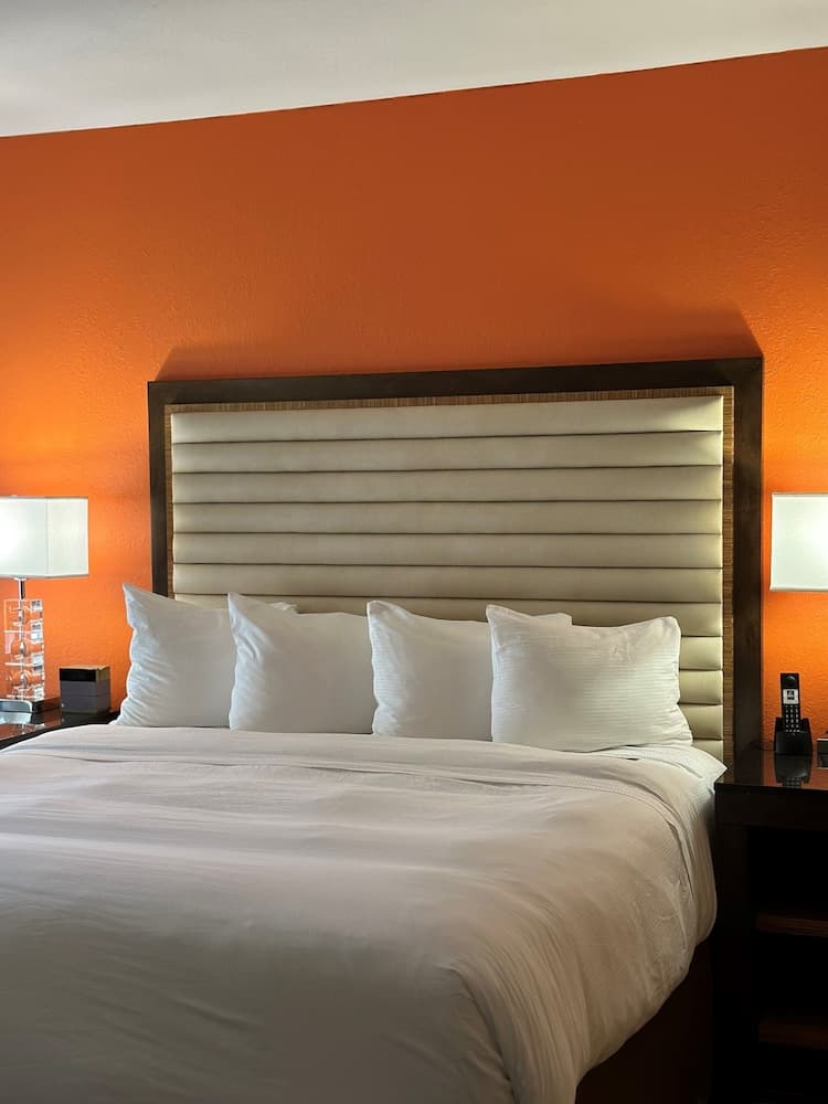 Moonrise Hotel gallery photo in St. Louis, MO — image 18