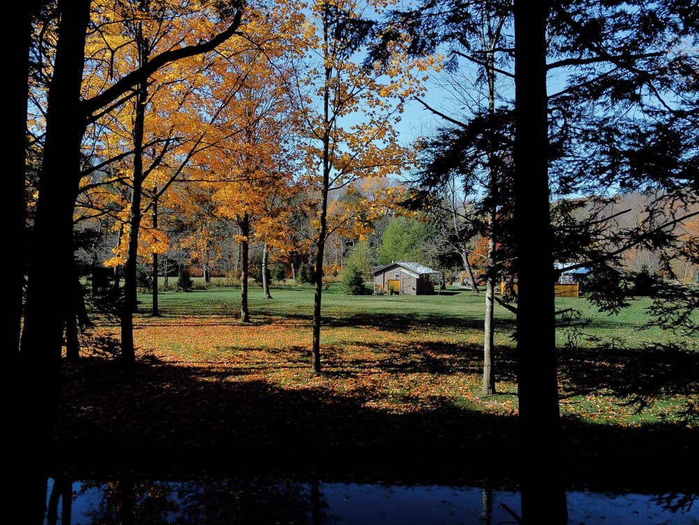 Antrim Streamside gallery photo in Livingston Manor, NY — image 14