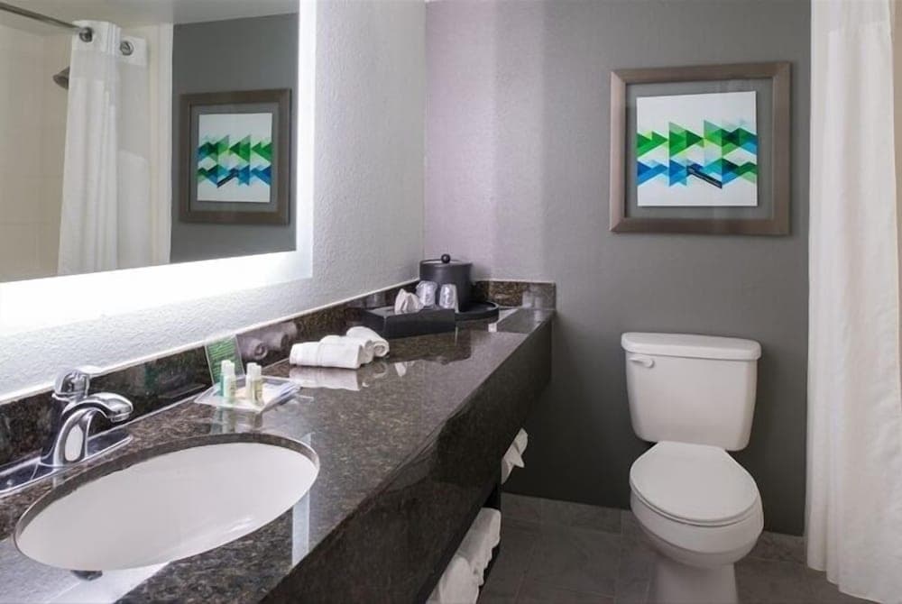 Holiday Inn Hotel & Suites Beaumont Plaza (I-10 & Walden) by IHG gallery photo in Beaumont, TX — image 7