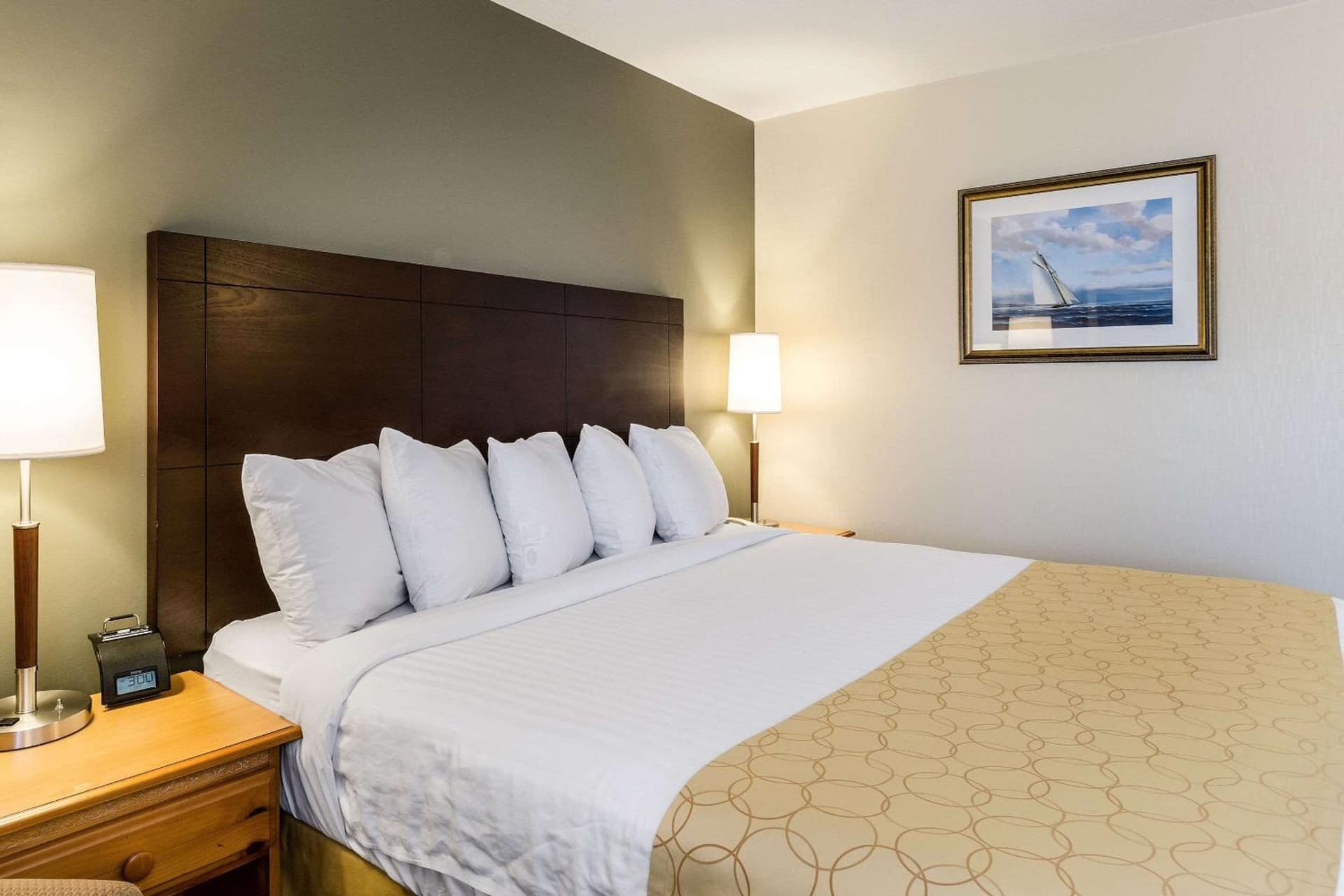 Clarion Hotel Seekonk - Providence gallery photo in Seekonk, MA — image 39