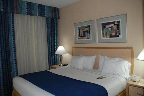 King Suite with Roll-In Shower - Disability Access at Holiday Inn Express Hotel & Suites San Antonio - Rivercenter Area by IHG in San Antonio, TX