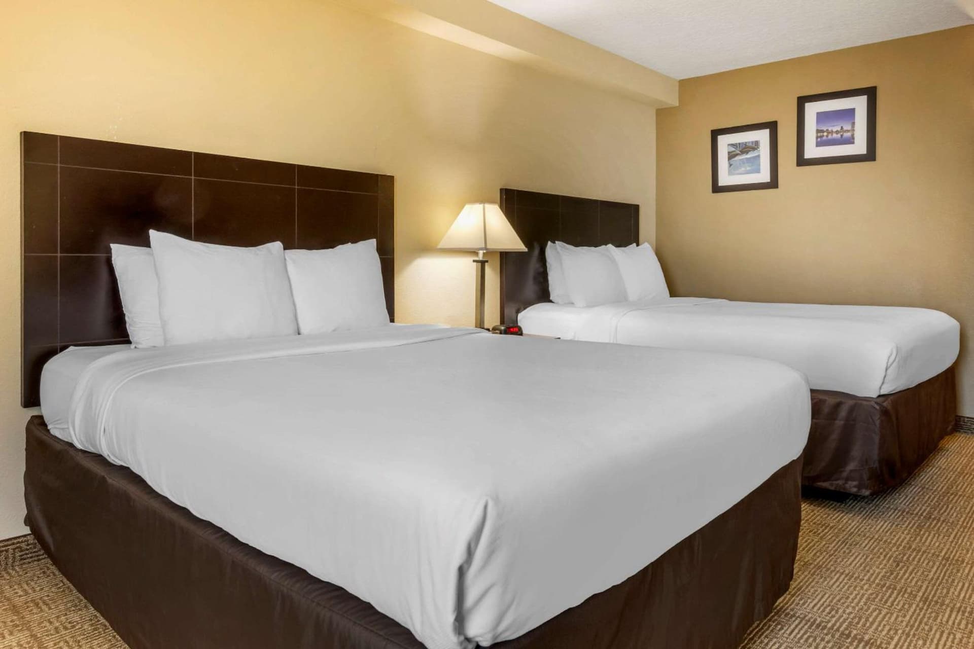 Standard Room with Two Double Beds at I-Drive Hotel at Universal in Orlando, FL