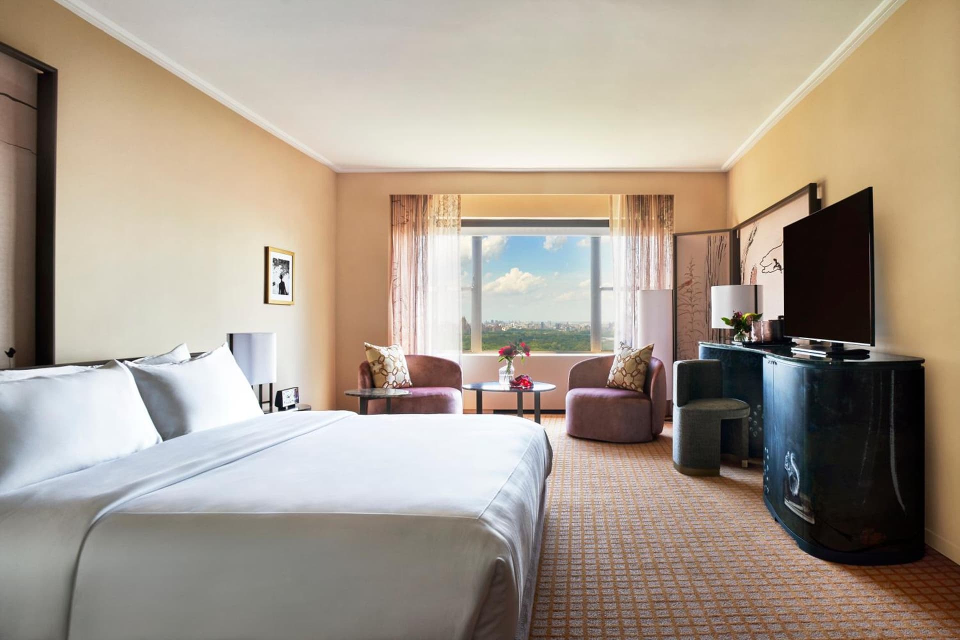 Panoramic Park View King at Park Lane New York in New York, NY