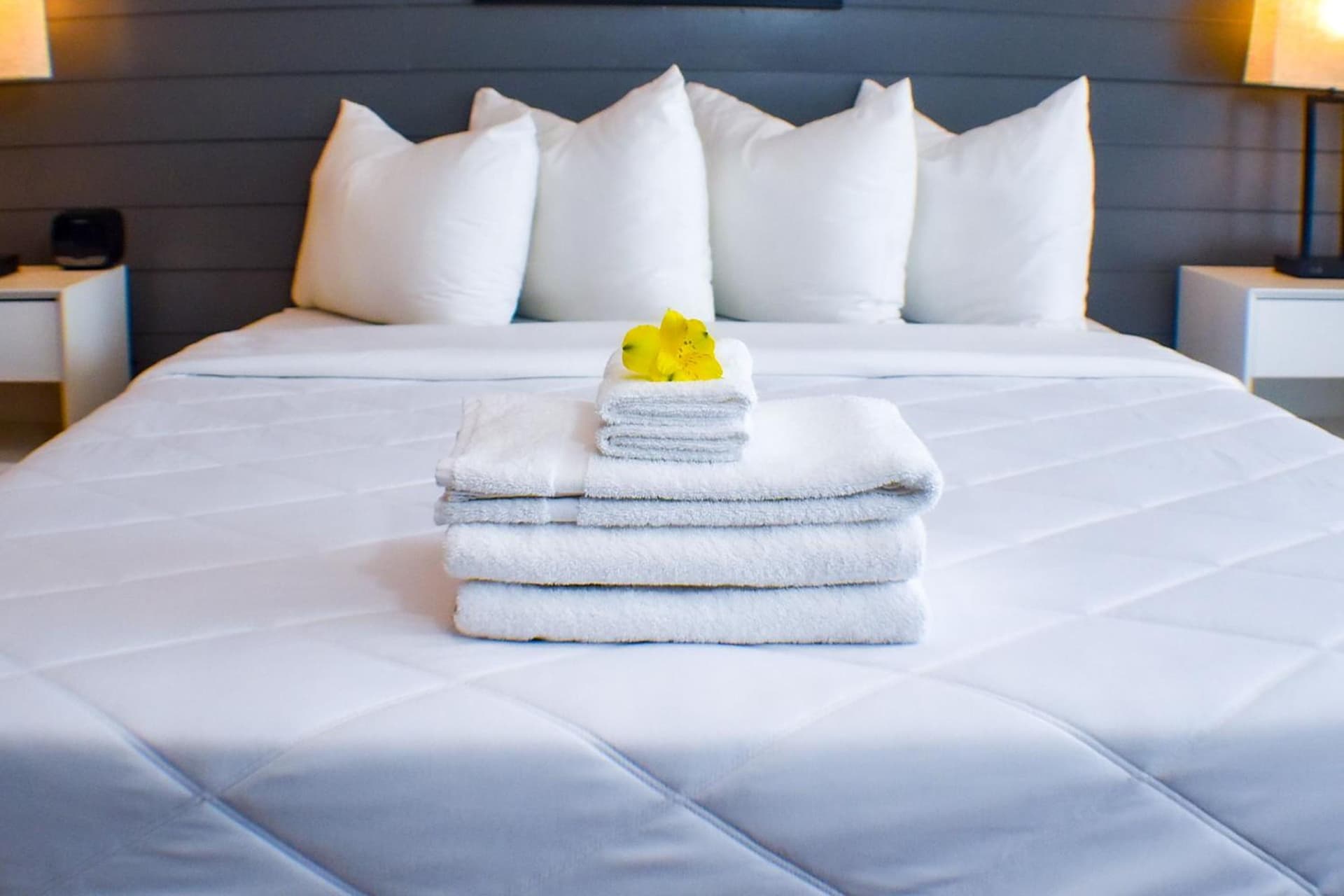 Standard Queen Room at Devon Shores in Clearwater Beach, FL