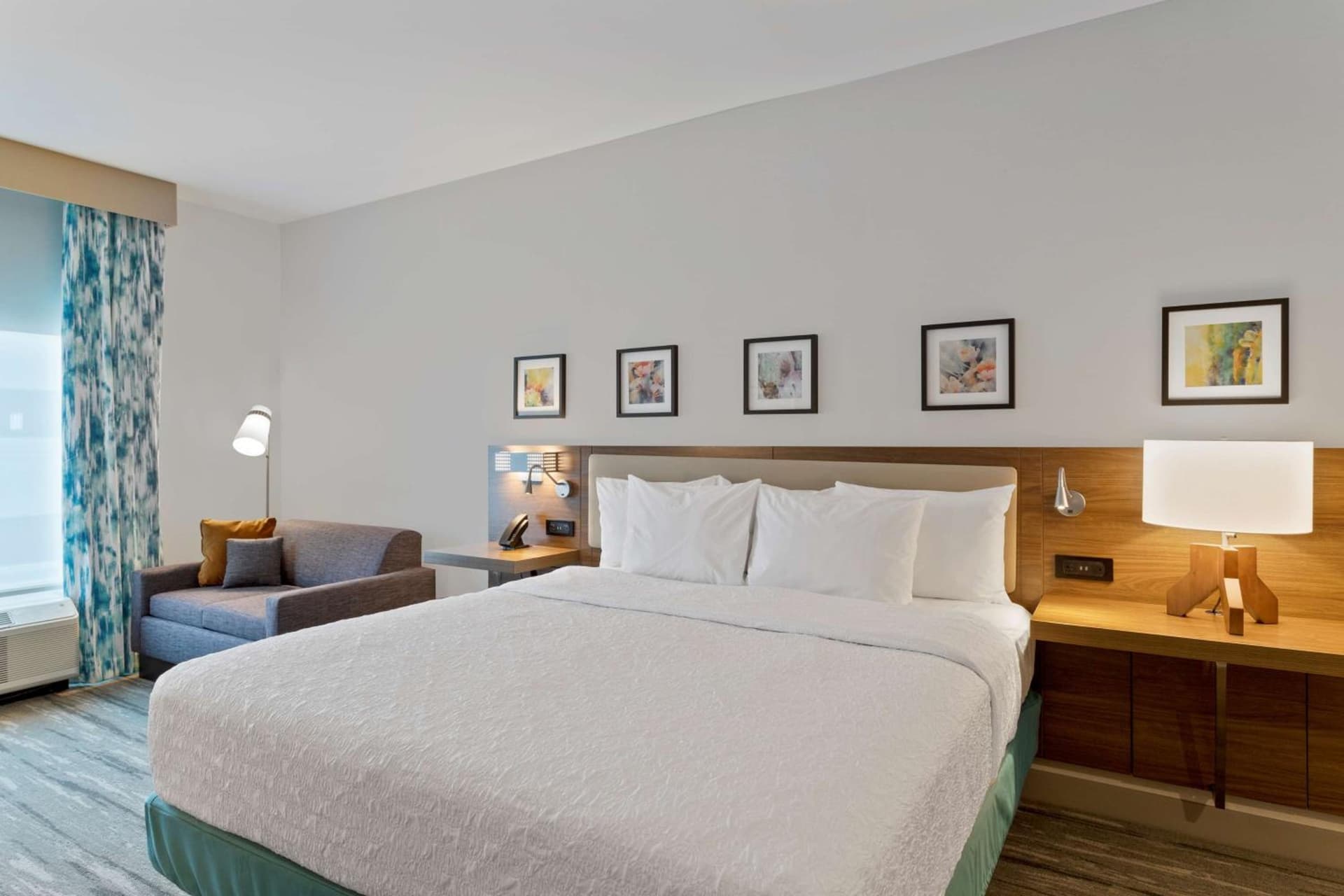 Deluxe King Room at Hilton Garden Inn Houston Medical Center, TX in Houston, TX