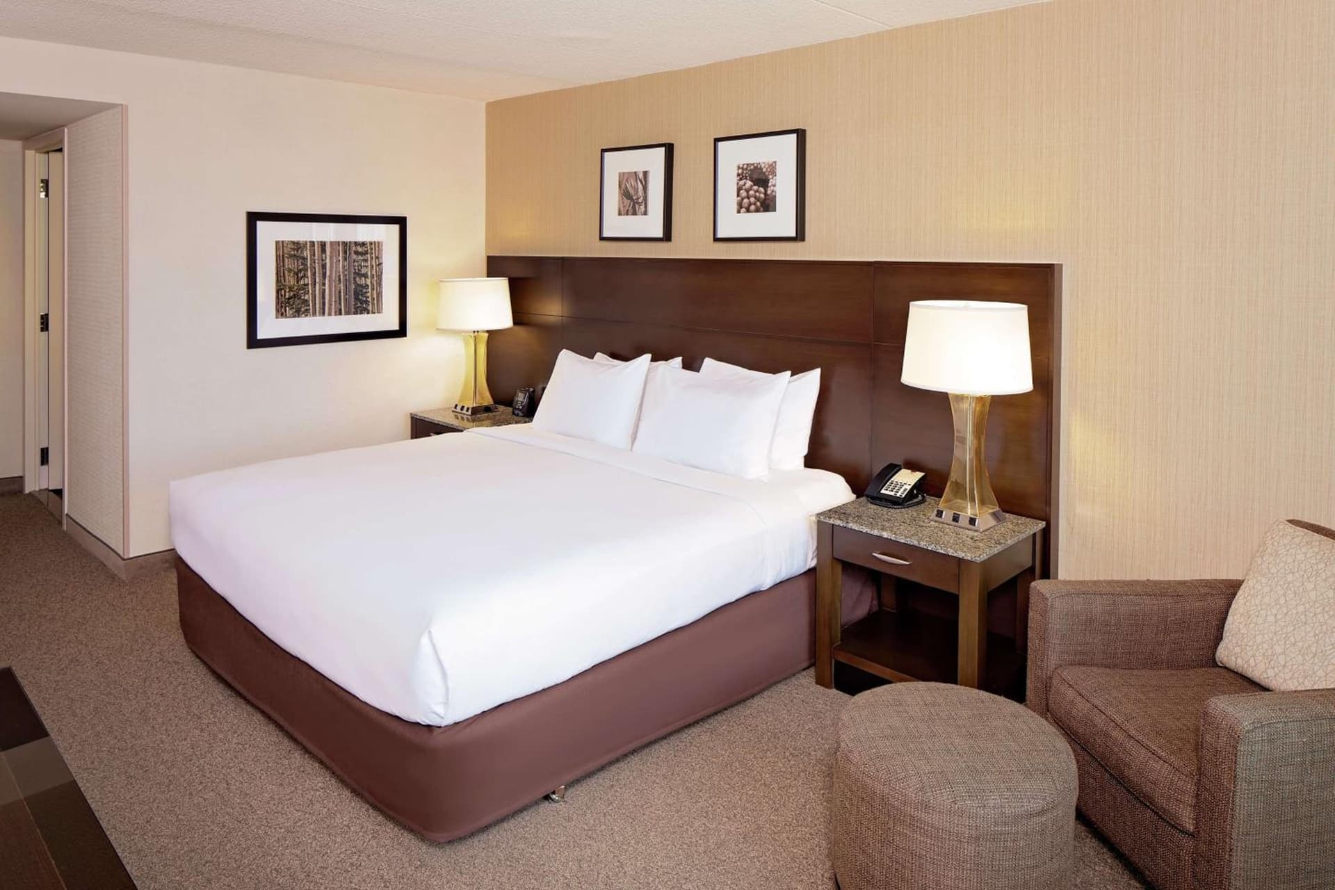 Deluxe King Room at DoubleTree by Hilton Hotel Boston Bayside in Boston, MA