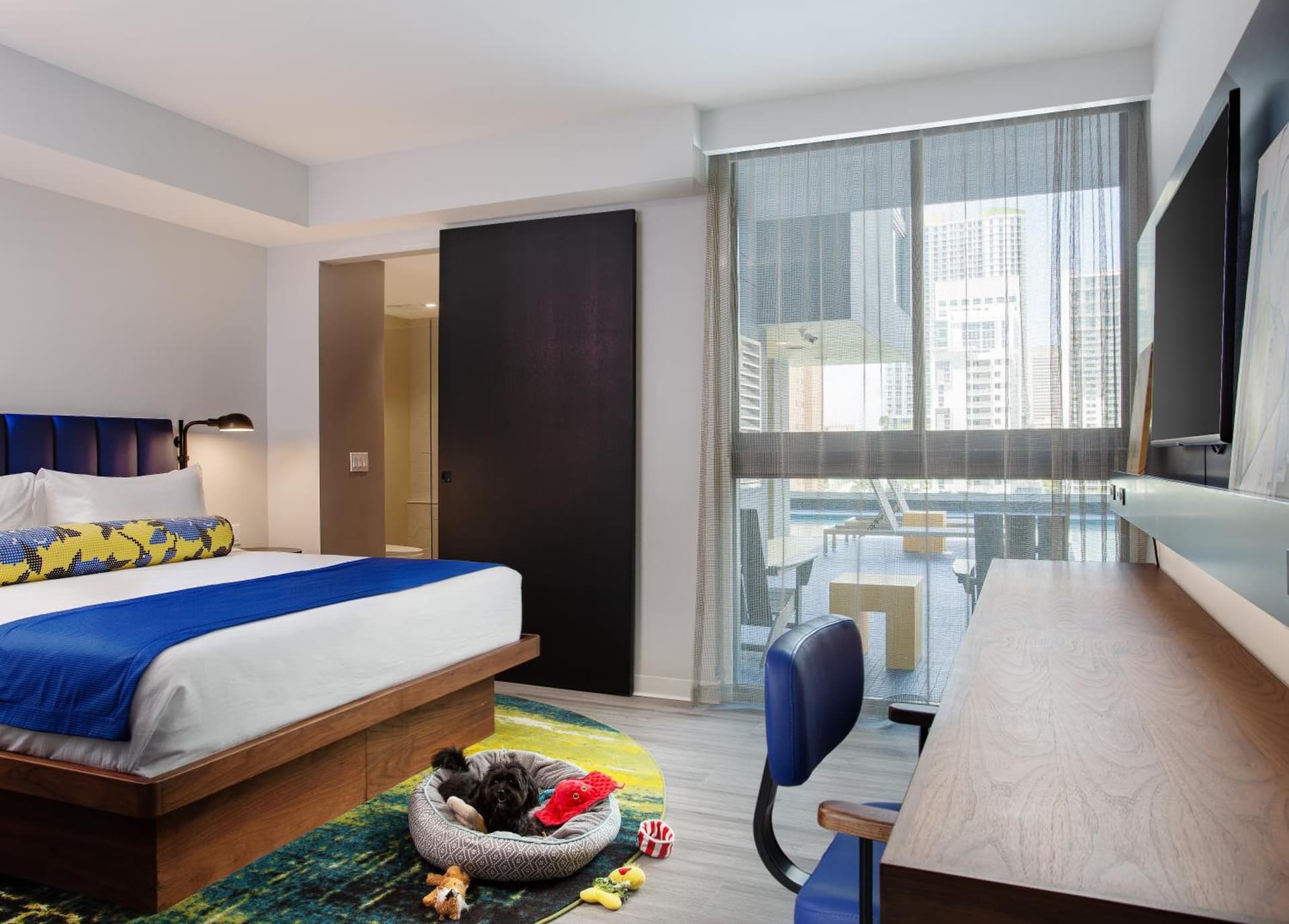 Standard Room at Hotel Indigo Miami Brickell by IHG in Miami, FL