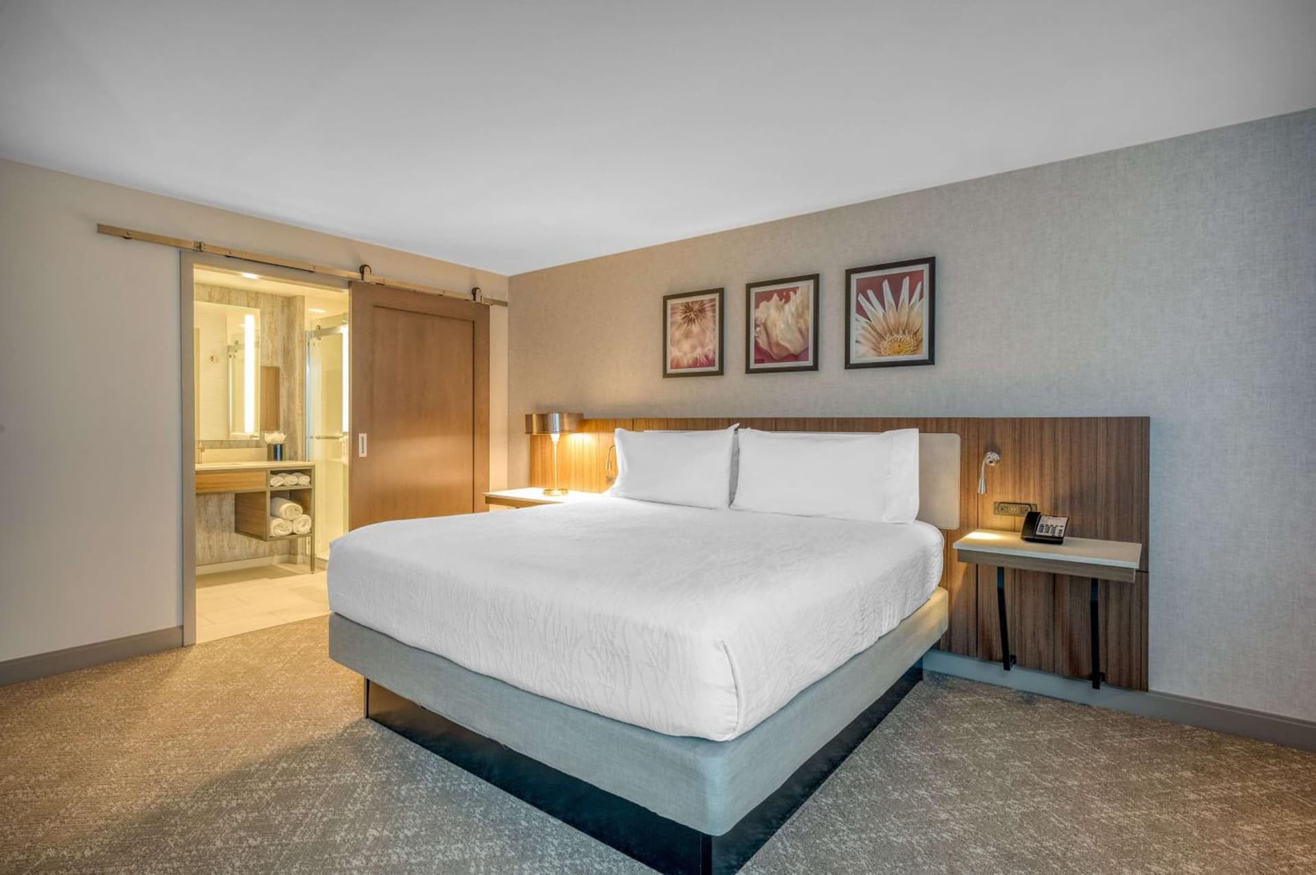 King Studio Suite at Hilton Garden Inn Boston Logan Airport in Boston, MA