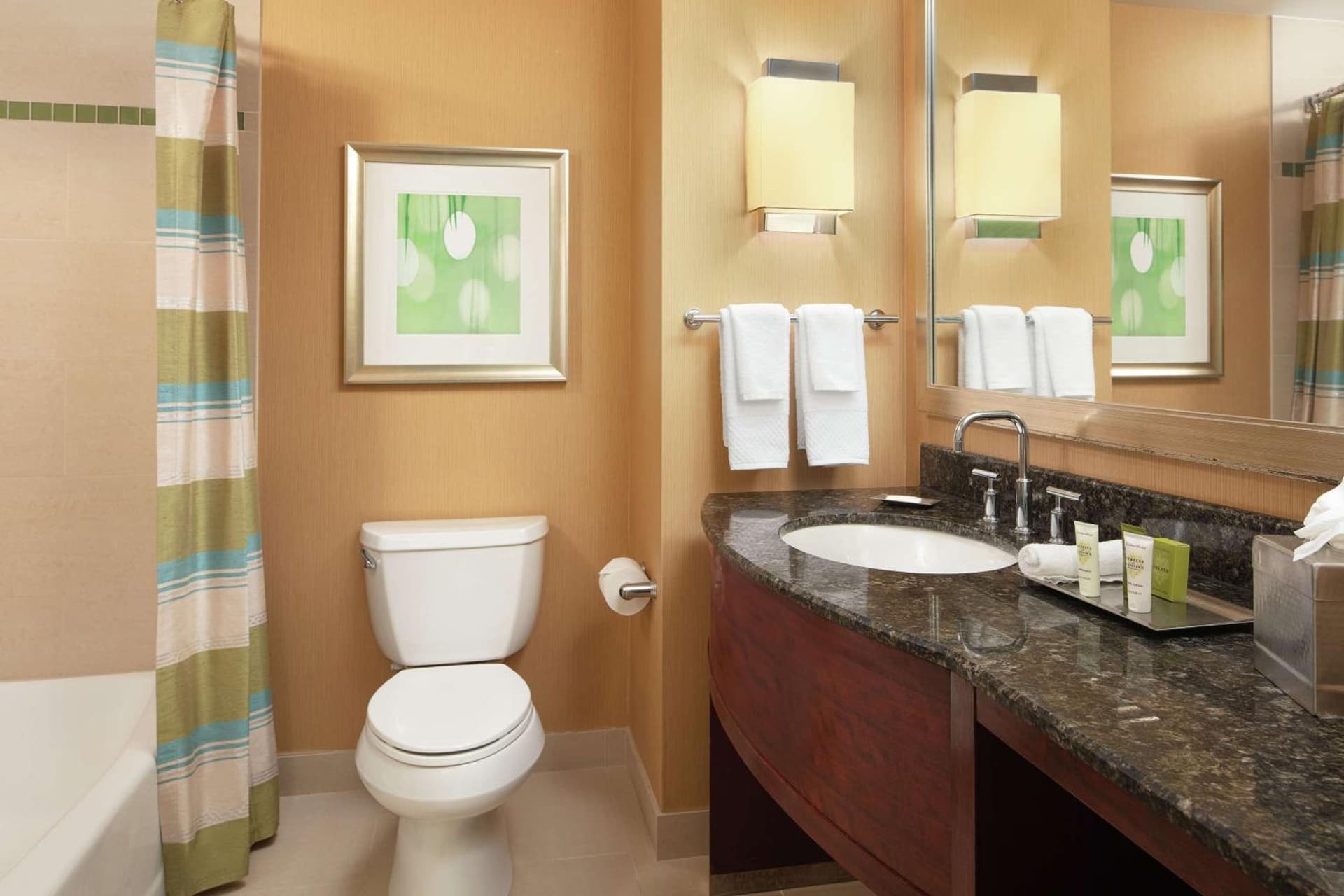 King Room with View at Hilton Orlando in Orlando, FL