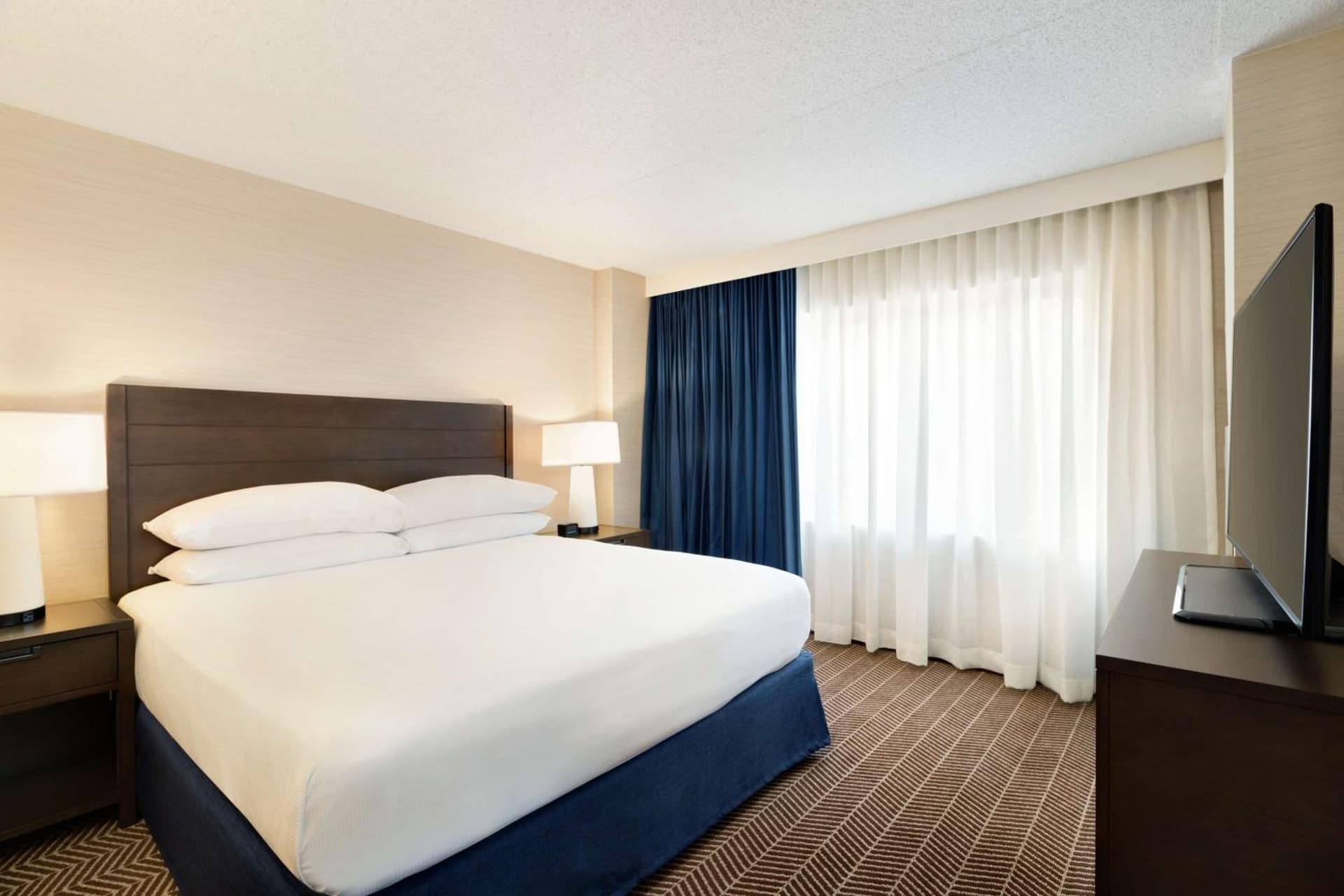 Executive King Suite - Non-Smoking at Embassy Suites Boston at Logan Airport in Boston, MA