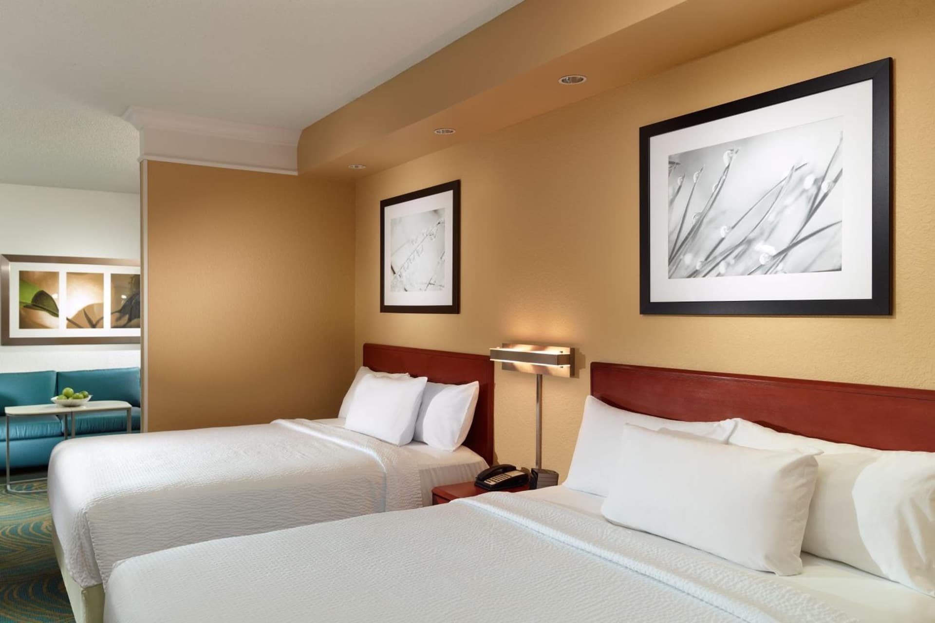 Queen Suite with Sofa Bed - Hearing Accessible at SpringHill Suites by Marriott Atlanta Buckhead in Atlanta, GA