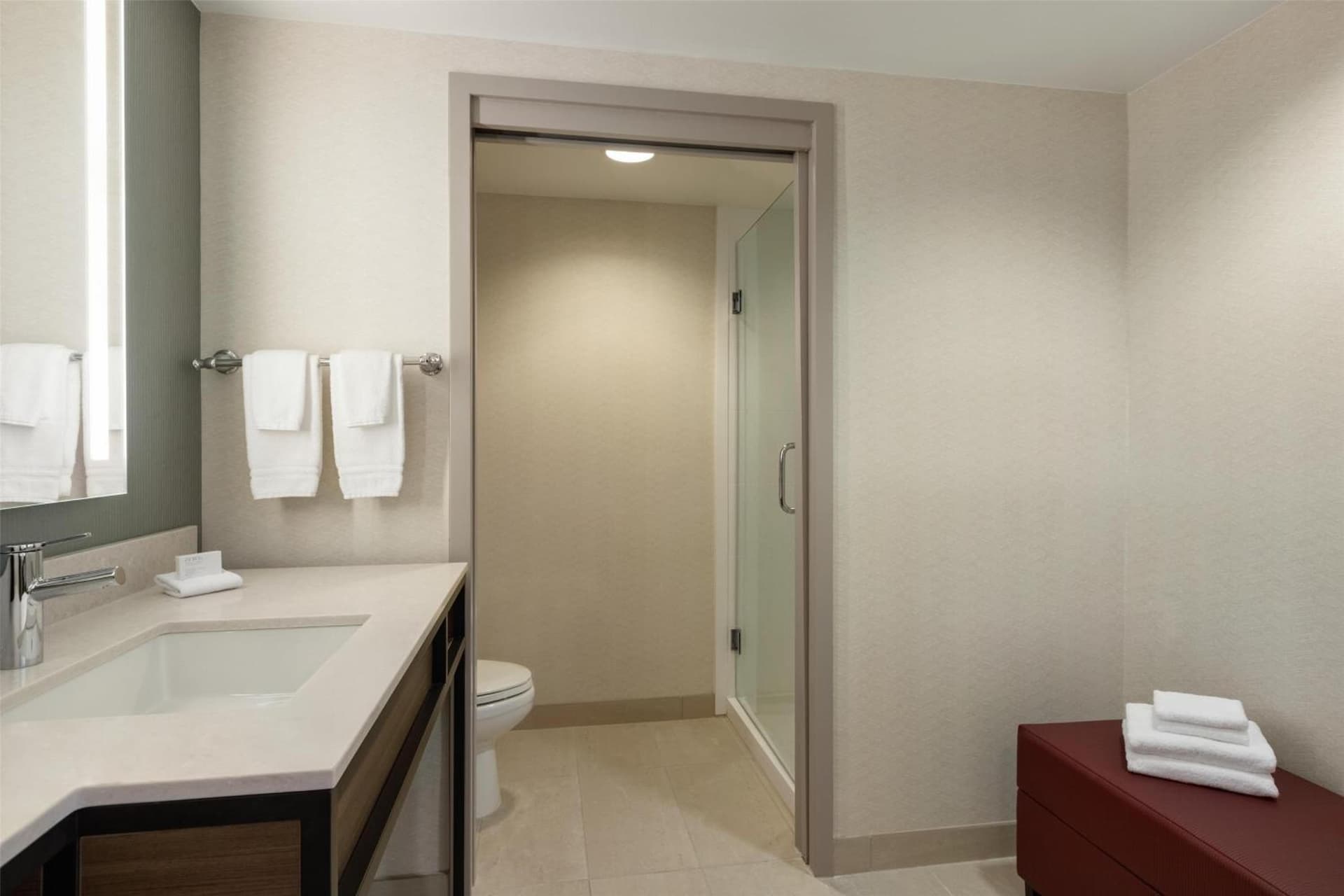 Corner King Room with Large Bath at Hilton Garden Inn Atlanta Downtown in Atlanta, GA
