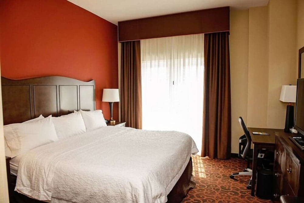 Room, 1 King Bed, Non Smoking at Hampton Inn & Suites Bradenton in Bradenton, FL
