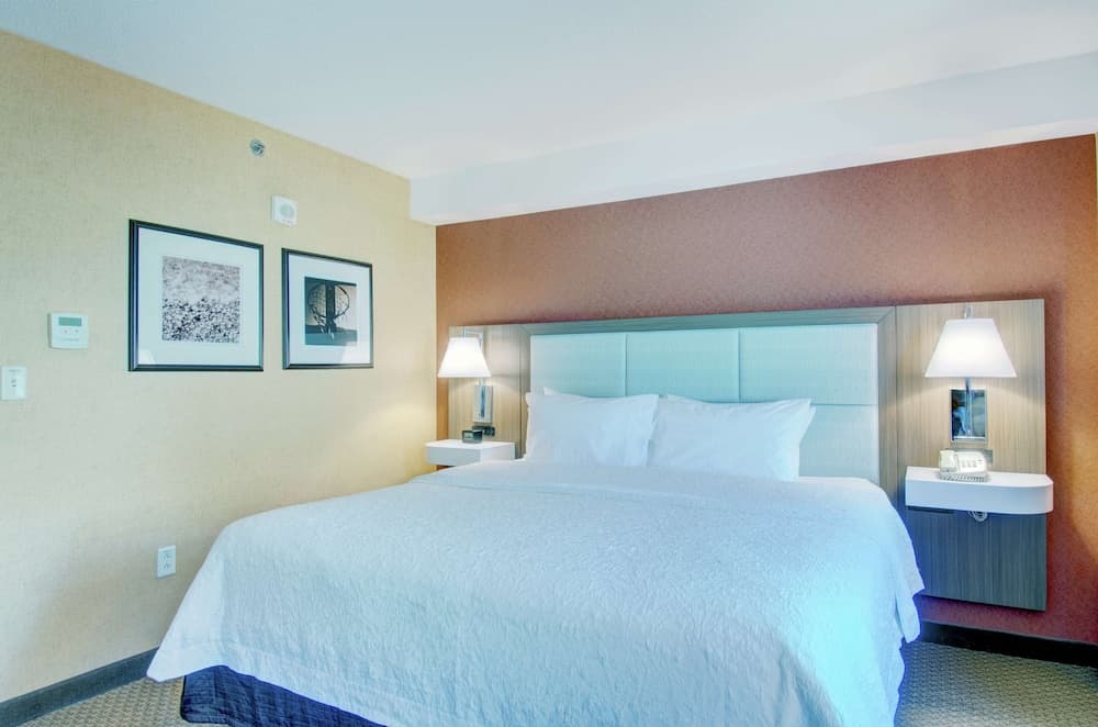 Studio Suite, 1 King Bed, Non Smoking at Hampton Inn & Suites Boston Crosstown Center in Boston, MA