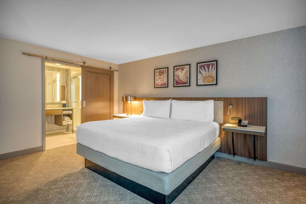 Studio Suite, 1 King Bed at Hilton Garden Inn Boston Logan Airport in Boston, MA