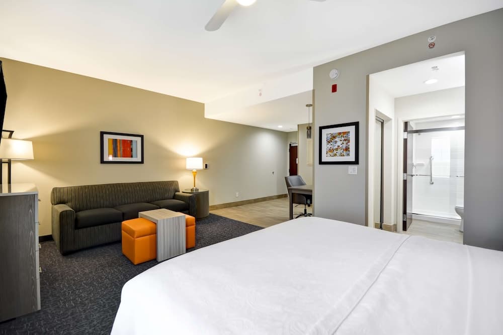 Studio, 1 King Bed, Accessible (Hearing) at Homewood Suites by Hilton Orlando Theme Parks in Orlando, FL