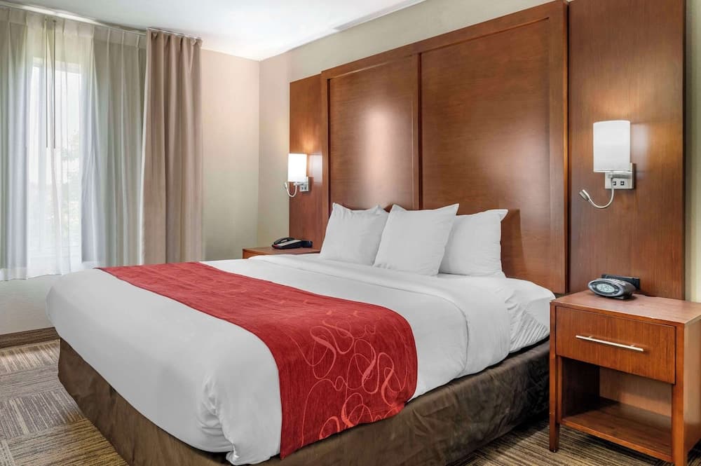 Business Suite, 1 King Bed, Accessible, Non Smoking at Comfort Suites Urbana Champaign, University Area in Champaign, IL