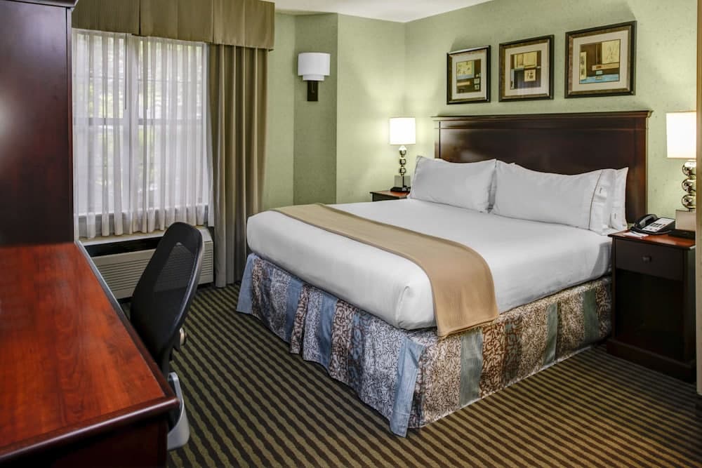 Standard Room, 1 King Bed, Accessible (Mobil Roll Shwr) at Holiday Inn Express Hotel & Suites Atlanta Buckhead by IHG in Atlanta, GA