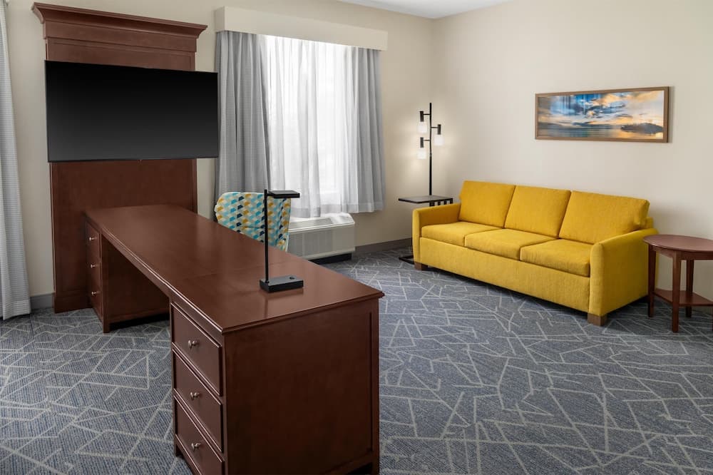 Studio, 1 King Bed with Sofa bed, Accessible, Non Smoking at Hampton Inn and Suites Coconut Creek in West Dixie Bend, FL