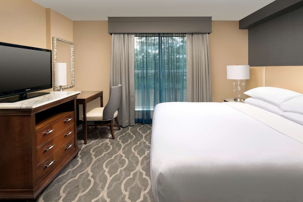 Suite, 1 King Bed, Accessible, Bathtub at Embassy Suites by Hilton Atlanta Airport in Atlanta, GA