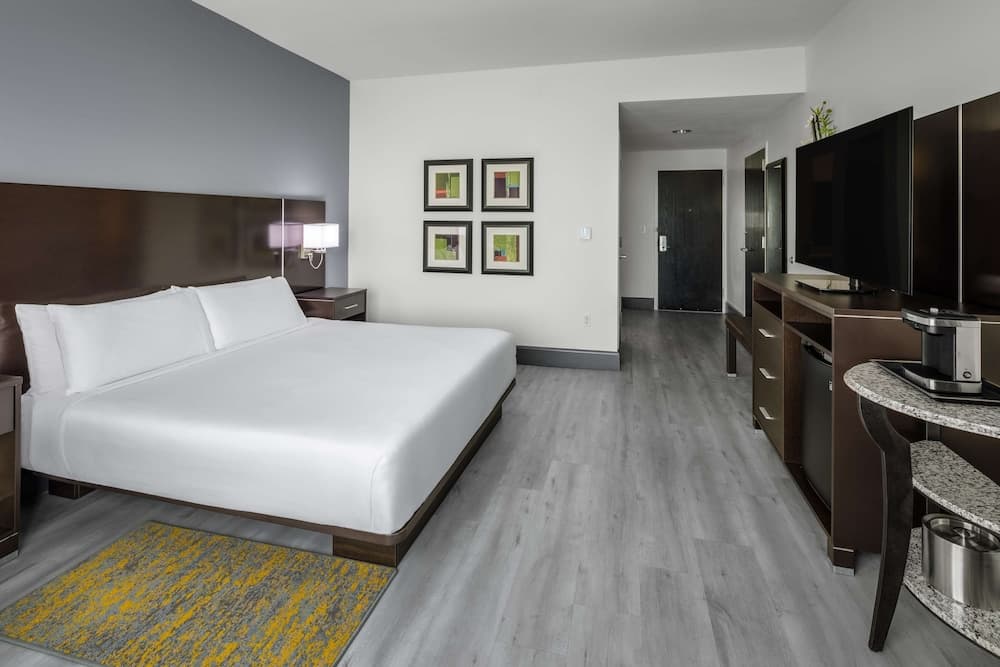 Room, 1 King Bed (Mobility & Hearing, Roll-In Shower) at DoubleTree by Hilton Sarasota Bradenton Airport in Sarasota, FL