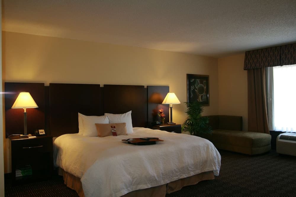 Suite, 1 King Bed, Non Smoking at Hampton Inn & Suites Orlando-John Young Parkway/South Park in Orlando, FL