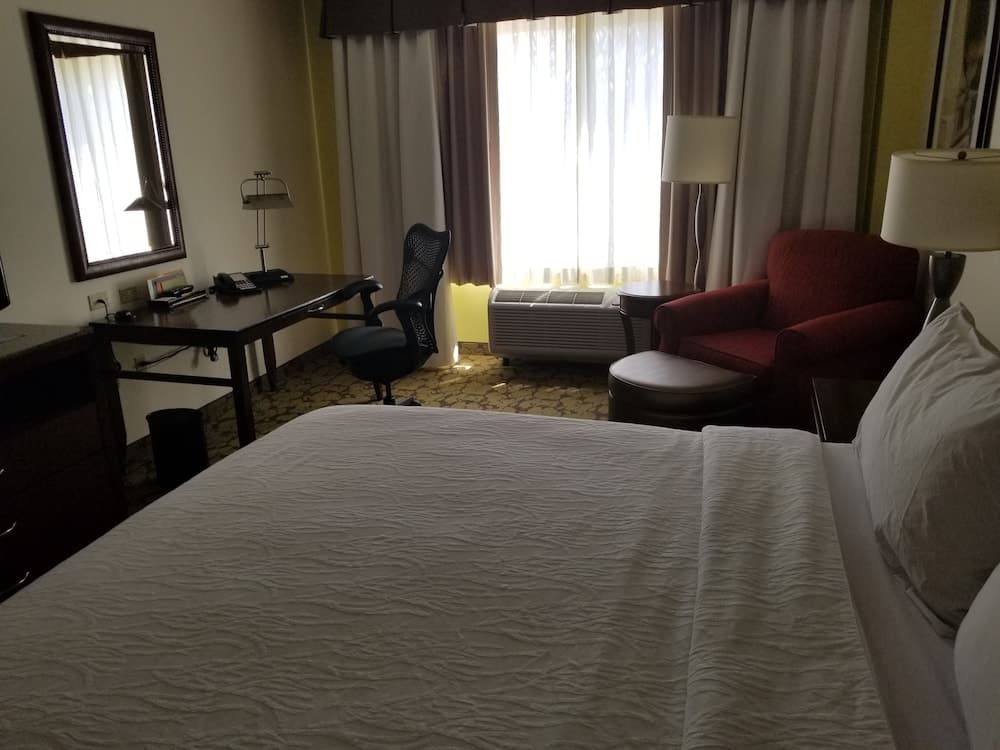 Room, 1 King Bed, Accessible, Bathtub at Hilton Garden Inn Oxnard/Camarillo in Oxnard, CA