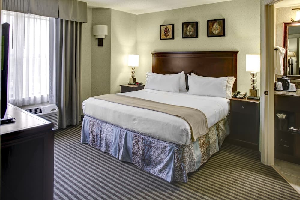 Standard Room, 1 King Bed, Accessible (Comm Mobil Tub) at Holiday Inn Express Hotel & Suites Atlanta Buckhead by IHG in Atlanta, GA