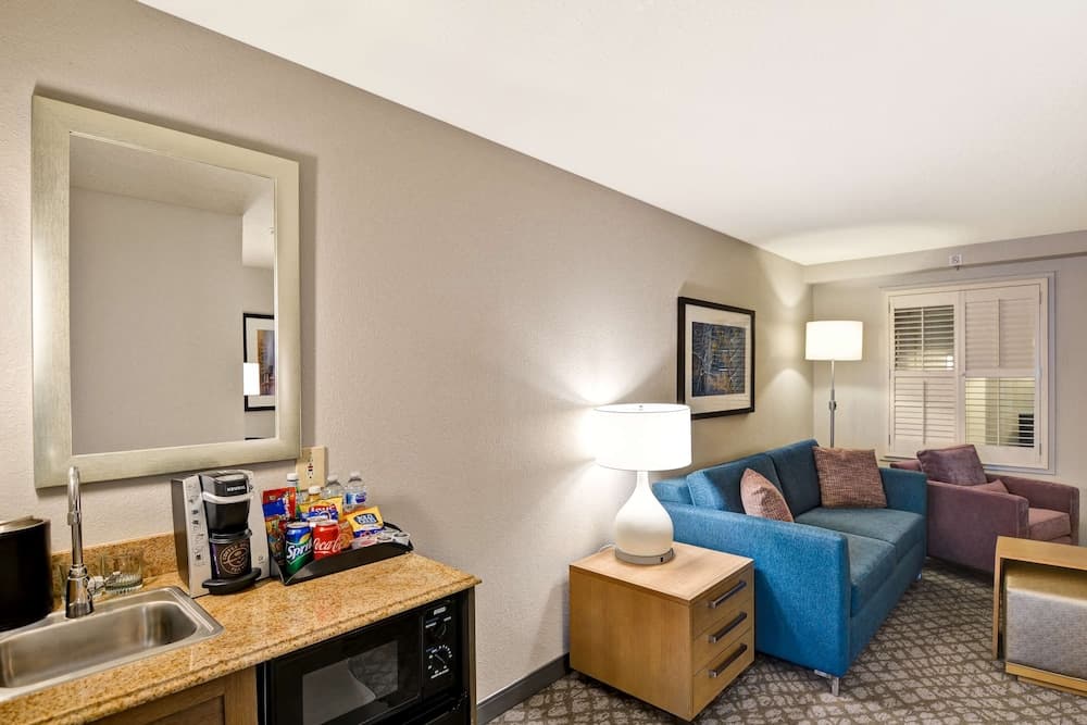 Premier Suite, 1 King Bed, Non Smoking at Embassy Suites by Hilton Orlando Downtown in Orlando, FL