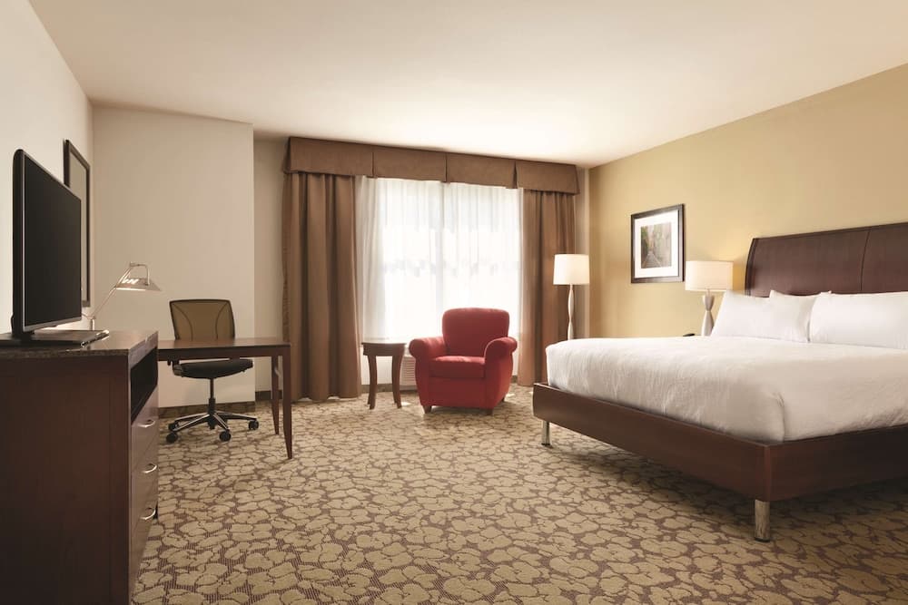King, Accessible, Bathtub at Hilton Garden Inn Boston Logan Airport in Boston, MA