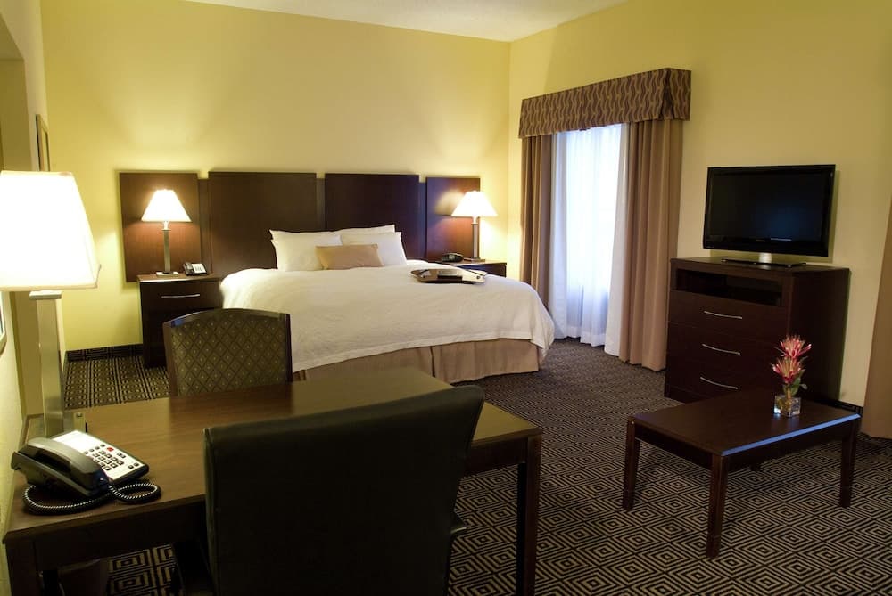 Suite, 1 King Bed, Accessible, Non Smoking at Hampton Inn & Suites Orlando-John Young Parkway/South Park in Orlando, FL