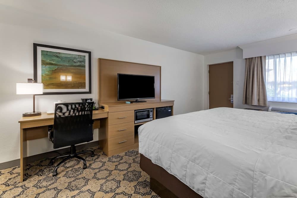Standard Room, 1 King Bed, Non Smoking, Refrigerator & Microwave at Best Western Palm Beach Lakes in West Palm Beach, FL
