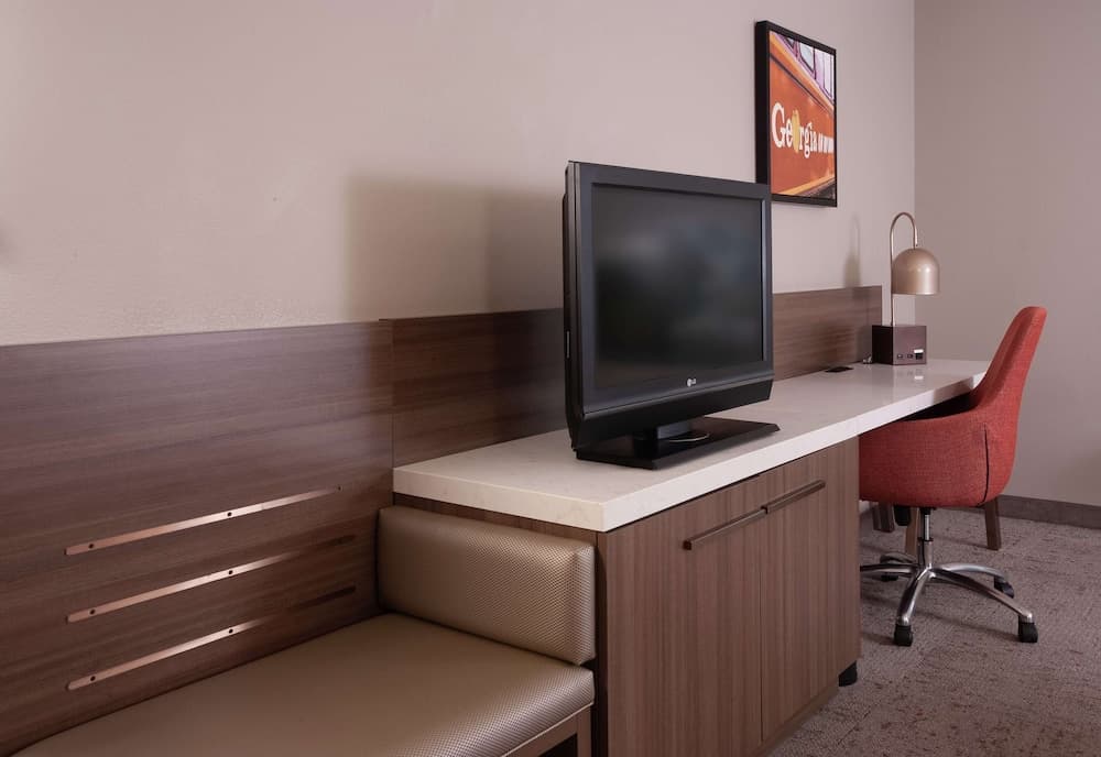 Room, 1 King Bed, Accessible at Hilton Garden Inn Atlanta Airport/Millenium Center in Atlanta, GA