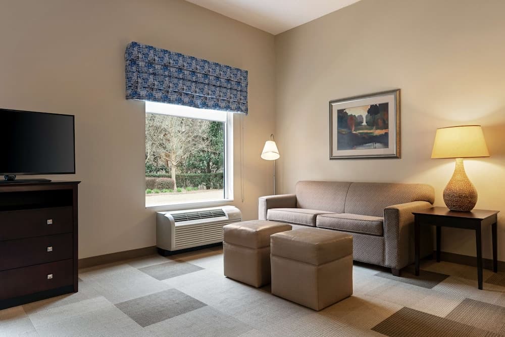 Suite, 1 King Bed, Accessible, Non Smoking at Hampton Inn & Suites Atlanta Airport West Camp Creek Pkwy in Atlanta, GA