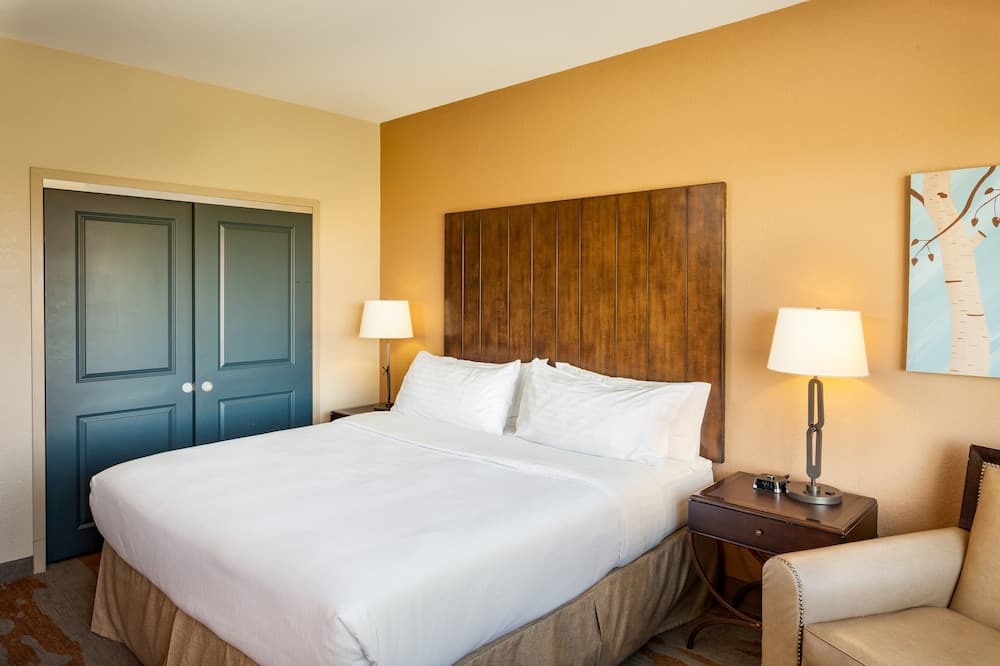 Standard Room, 1 King Bed, Accessible (Accessible Tub) at Holiday Inn San Antonio Seaworld by IHG in San Antonio, TX